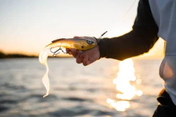 Abu Garcia Beast Curltail Softbait 21cm 89g (4 stuks)