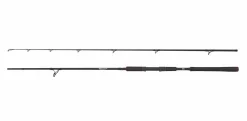 Abu Garcia Beast Pike Spinhengel