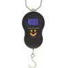 Angling Pursuits Electronic Scales