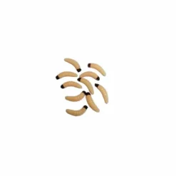 Behr Imitation Bee Maggot Jumbo Natural