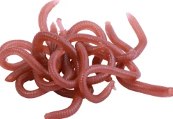 Behr Trendex Imitatie Worm, 40 stuks!