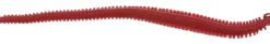 Berkley Gulp! Alive Saltwater Sandworm