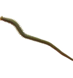 Berkley Gulp! Alive Saltwater Sandworm