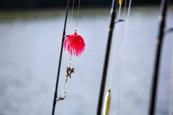 Black Cat Real Worm Teaser Meerval Kunstaas Rig