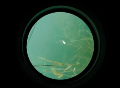 Carp Spirit Water Scanner