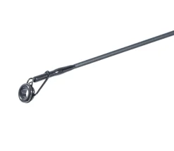 Catchmax Catfish Meervalhengel 3.00m (-200g)