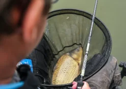 Cresta KXB Pro Carp Feeder 300 Feederhengel 3m (20-50g)