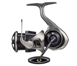 Daiwa 25 Caldia LT Molen