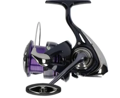 Daiwa 24 Prorex X LT Spinmolen