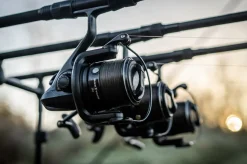 Daiwa Black Widow 25A Big Pit Molen