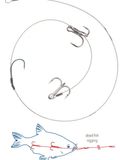 Dragon Treble Hook Deadbait Leader