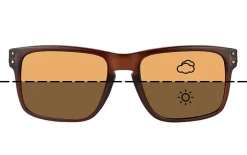Fortis Eyewear Bays Switch Brown Zonnebril