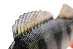 Fox Rage Ultra-Realistic Perch Replicant Swimbait 18cm (100g)