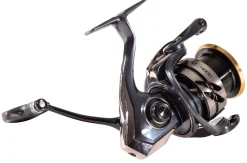Grayton Apex Salt XF Spin Combo