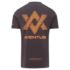 Guru Aventus T-shirt Charcoal