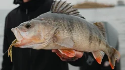 Jaeger Perch Go Kit Hengelset 2,04m (5-15g)