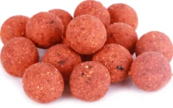 5kg Readymade Q-Boilies in 15 of 20mm