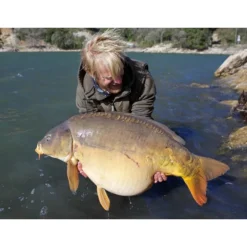 Korda Arma Kord Sinking