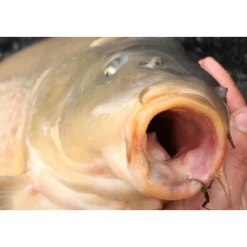 Korda Mixa Hook