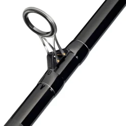 Mitchell Adventure II Surf Strandhengel 5m (100-250g) (3-Delig)