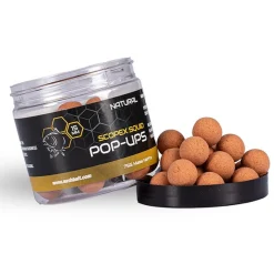 Nash Scopex Squid Pop-ups '24