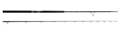Okuma F-15 Shore Jigging Hengel 10ft (30-100g)