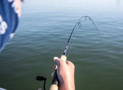 Patriot Ace Deadbait Doodaashengel 12ft/3.64m (2.75lb)