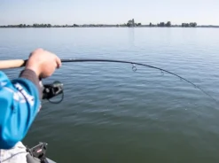 Patriot Ace Deadbait Doodaashengel 12ft/3.64m (2.75lb)