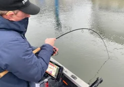 Patriot Ace Deadbait Doodaashengel 12ft/3.64m (2.75lb)