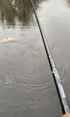 Patriot Ace Deadbait Doodaashengel 12ft/3.64m (2.75lb)