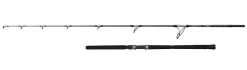 Penn Ally II Offshore Casting Spin Zeevishengel