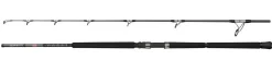 Penn Ally II Offshore Casting Spin Zeevishengel