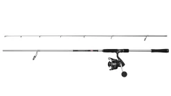 Penn Pursuit V Inshore Zeevis Spinhengel Combo