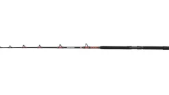 Penn Warfare II Trolling Hengel 5'7ft/1.7m (1-Delig)