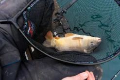 Preston Carp XS Landing Net