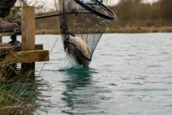 Preston Carp XS Landing Net