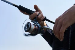 Shimano Nasci FD Spinmolen