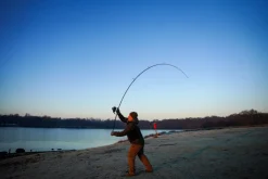 Shimano Tribal TX-5A Carp Karperhengel 12ft