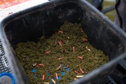 Sonubaits Pro Groundbait Lokvoer Thatchers Green (900g)