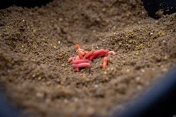 Sonubaits So Natural Groundbait (900g)