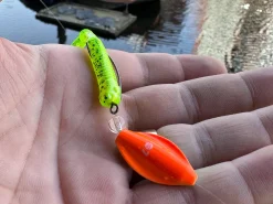 Spro Freestyle Squid Bullet 5g (2 Stuks)