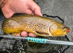 St. Croix Trout Series Ultra Light Spinhengel