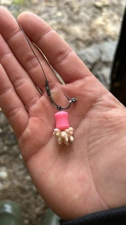 Tactic Carp Instant Maggot Pack