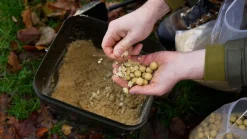 Tactic Carp Instant Maggot Pack