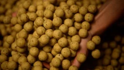 Tactic Carp Instant Maggot Pack