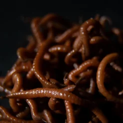 Tactic Carp Trigger Worms Natural Baits (30ml)