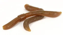 Trout Master Dendrobaena Imitatie Worm 8cm (15 Stuks)