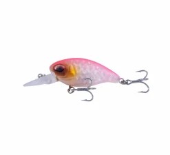Ultimate Perch Gift Box (5pcs)