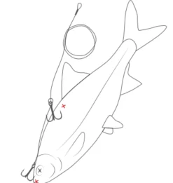Westin Multi-Purpose Doodaas Rig (50cm)