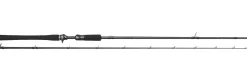 Westin W3 HybridCast-T 3rd Generation Baitcasthengel 2.21m (50-120g)